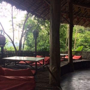 Jungle Feeling at Babaloo Restaurant and Uma's Kitchen in Koh Tao