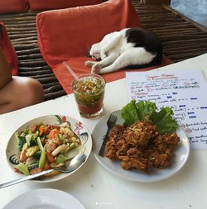 Food and cat at Babaloo Restaurant and Uma's Kitchen in Koh Tao