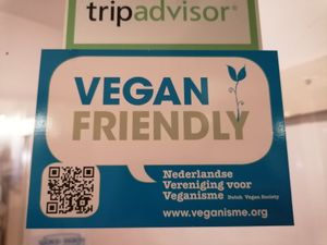  at Addis Ababa in Amsterdam