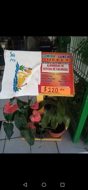 Loove buffets:) at Mary Restaurant Vegetariano in Puerto Vallarta