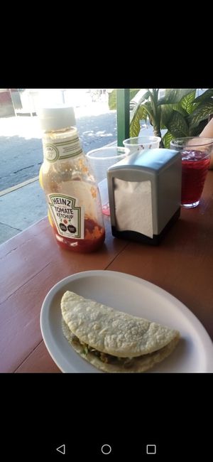 The king of condiments. She said Heinz is the best brand. at Mary Restaurant Vegetariano in Puerto Vallarta