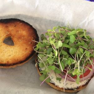 grilled bagel deluxe with almond based cream cheese sprouts tomato and onion.  at Planet Yum in Vero Beach