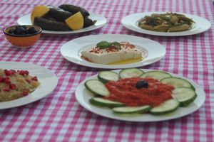 ajvar, babaganoush, vegan feta, stuffed wineleaves at VeganCat in Berlin