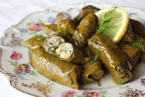 Greek sarma at VeganCat in Berlin