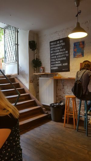 Look for the stairs down to a cozy small place. at Momencik in Warsaw