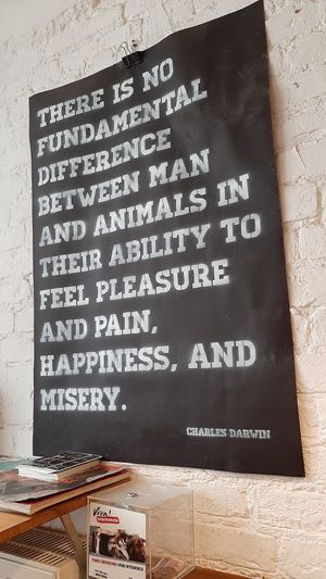 Truth at Momencik in Warsaw