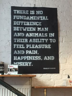 sign inside at Momencik in Warsaw