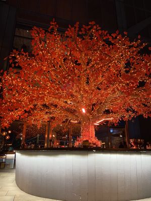 The bar outside  at Sushi Samba in London
