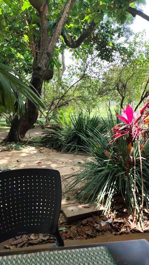  at Supren Verda in Brasilia