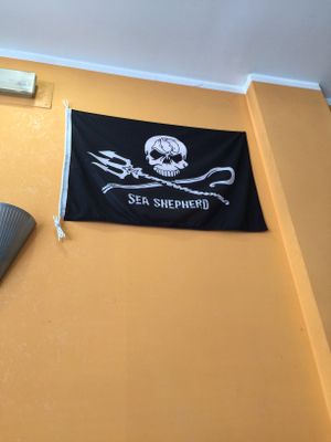 They are Sea Shepherd supporters! at Fratelli Piermattei in Rome