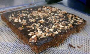 Chocolate Brownies! at The Graff Academy of Raw Food Education in Roswell