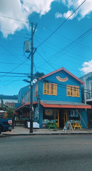 exterior - so cute  at Dat Dog - Magazine St in New Orleans