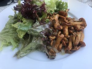 Salat mit Pfifferlingen at Landhaus Beckmann in Kalkar