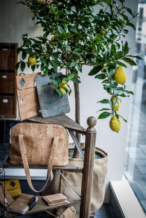 We also sell accessories in cork (bags, jewels, wallets, tablets case,…) at Vegasme in Brussels