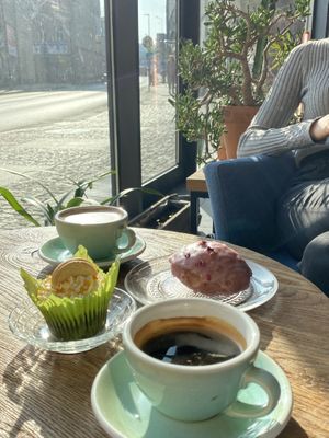   at Wegarnik in Zielona Gora