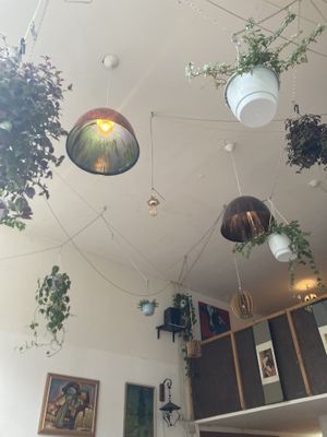 Interieur   at Robin Food in Amsterdam