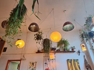  at Robin Food in Amsterdam