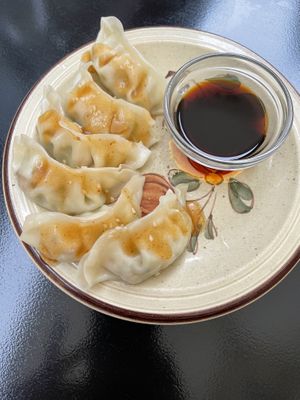 Gyozas 😑 at La Camelia Vegan Bar in Bilbao