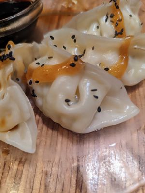 Gyoza at La Camelia Vegan Bar in Bilbao