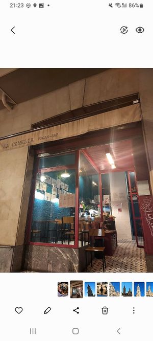  at La Camelia Vegan Bar in Bilbao