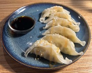 Gyozas  at La Camelia Vegan Bar in Bilbao