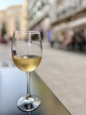 Sauv blanc al fresco   at La Camelia Vegan Bar in Bilbao