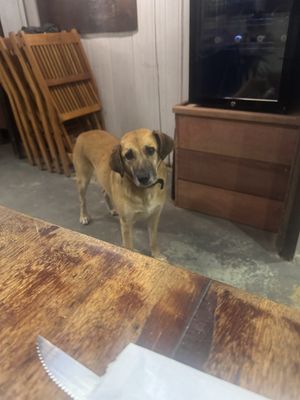   at Cafe do Mar in Ilha Grande