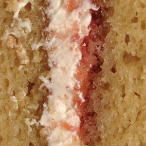 Victoria sponge!  at VBites - Holland & Barrett in Chester