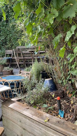   at FOAM in The Hague