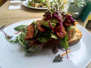 Tempeh bacon & avocado sandwich at FOAM in The Hague