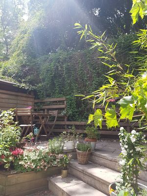 Super cute garden at FOAM in The Hague