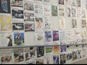 The wall of shame - beautiful images at Cultura de club in Girona