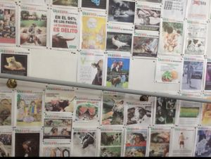 vegan imagery at Cultura de club in Girona