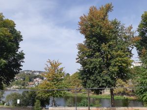  at Bar do Girassol in Amarante