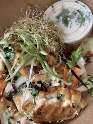 Dumplings … one of their most popular dishes.    at Shine Plant Based Kitchen in Orillia