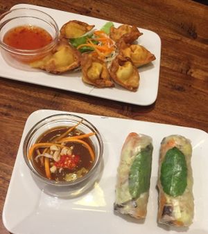 Rice paper rolls, and wontons at Fina's 2 in Fitzroy