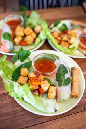 Tofu, rice paper roll and Spring roll  at Fina's 2 in Fitzroy