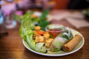 Tofu, rice paper roll and Spring roll  at Fina's 2 in Fitzroy