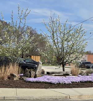 A nice place outside to sit and enjoy your treats! at Buttermilk Bake Shop in Petersburg