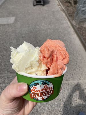   at Sea Star Gelato in Seaside