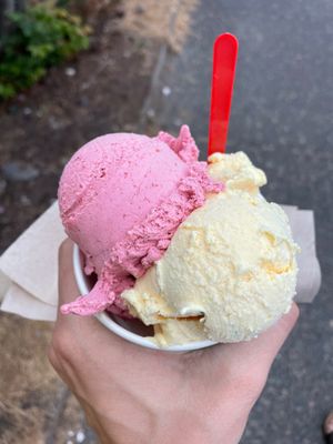 Yellow Cake and Wild Berry at Sea Star Gelato in Seaside