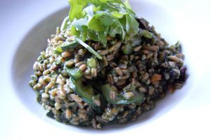 One of the à la carte main dishes: Spelt with spinach at Nyama in Ljubljana
