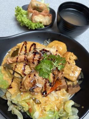 Hainanese curry chicken rice and gyoza  at Greendot 绿一点 - Westgate in West Singapore
