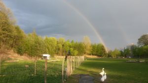 Hof-Sonnenweide at Hof-Sonnenweide in Weppersdorf