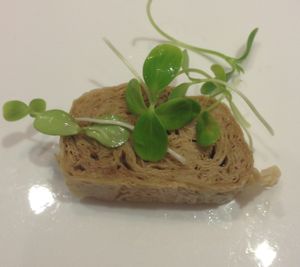 Starter - Tofu sheets. at Huā Kāi SùShí 花开素食 - Dongcheng in Beijing