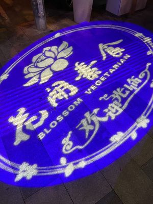 Seems to be a few different names. This one was projected on the footpath at Huā Kāi SùShí 花开素食 - Dongcheng in Beijing