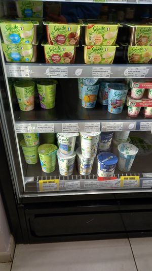 plant yoghurt at Biocoop Trinite in Toulouse