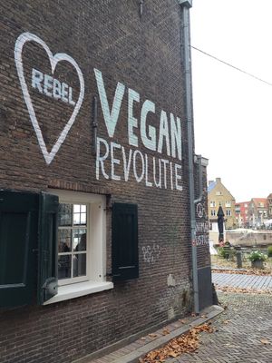  at Rebel Rebel in Dordrecht