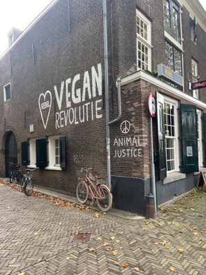   at Rebel Rebel in Dordrecht