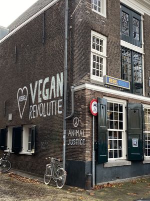 Outside view💜  at Rebel Rebel in Dordrecht